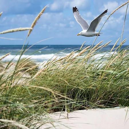 In Het Zoute Near The Knokke-Heist